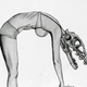 Illustration for article titled Paleontological pin-up girls have dinosaur skulls for heads